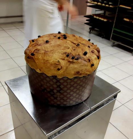1 large freshly bake Panettone